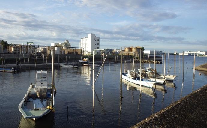 陸っぱりハゼ釣りで14cm級頭に17匹を手中【千葉・江戸川河口】大きめ針のご用意を