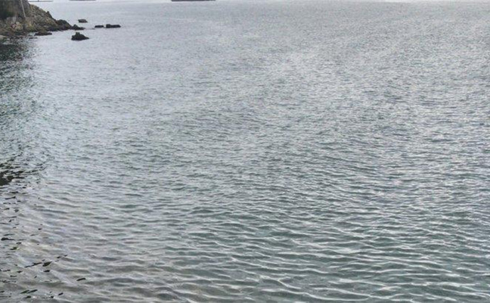 「ヒラメ連発も夢じゃない！」 秋の陸っぱりルアーヒラメ釣り徹底攻略法