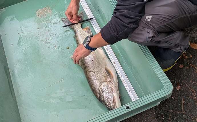 「100人中、釣れたのは2人だけ」 本栖湖レイクトラウト大会は厳しい結果も貴重な機会を創出