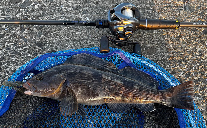 おまけ付き　アングラー・シリーズ　新技法による川の小物釣り image4-3.jpg