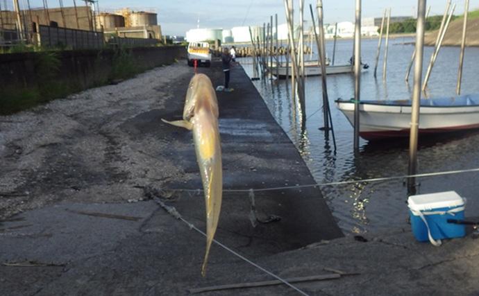 陸っぱりハゼ釣りで14cm級頭に17匹を手中【千葉・江戸川河口】大きめ針のご用意を