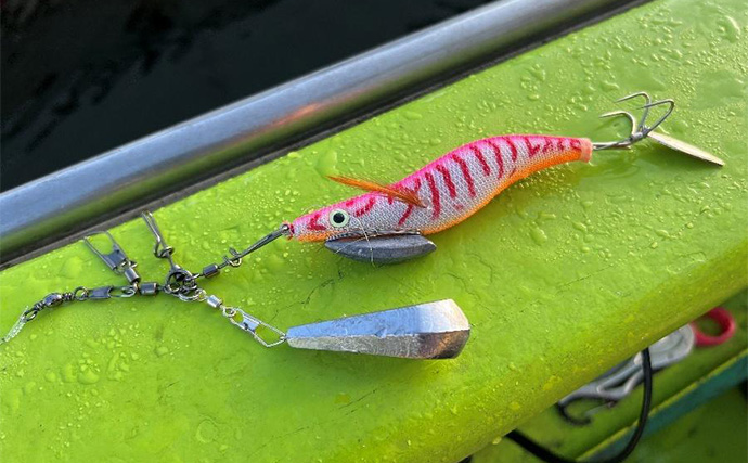 東京湾で船中マダコ100杯超え！【横内丸】金沢八景沖をエギタコ釣りで探る