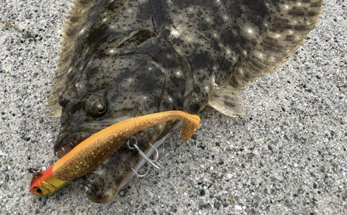 「ヒラメ連発も夢じゃない！」 秋の陸っぱりルアーヒラメ釣り徹底攻略法