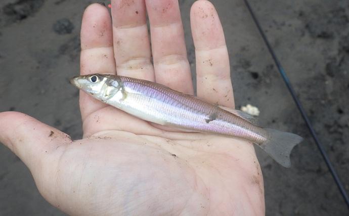 「猫のちょっかいに苦戦？」白狐川のハゼ釣りでマハゼ25匹手中【千葉】