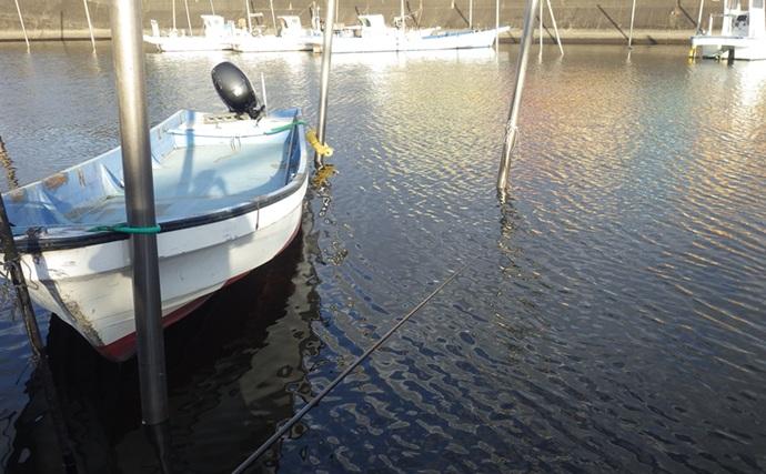 陸っぱりハゼ釣りで14cm級頭に17匹を手中【千葉・江戸川河口】大きめ針のご用意を