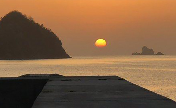 「ヒラメ連発も夢じゃない！」 秋の陸っぱりルアーヒラメ釣り徹底攻略法