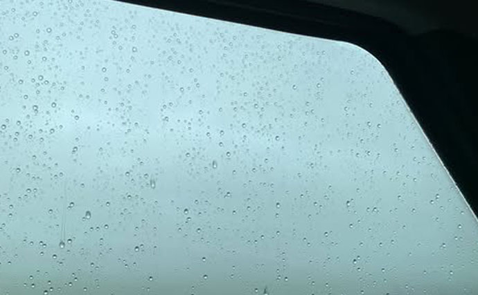 磯での生き物採集の【ルール・マナー・安全対策】を徹底解説　海藻には要注意？