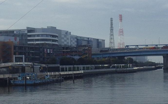 海老川河口のハゼ釣りでマハゼ16匹【千葉】釣れるポイントは限定的か？