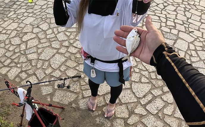 チョイ投げハゼ釣りで本命にキス好捕【新潟・関川】キビレとヒイラギの猛攻に苦戦