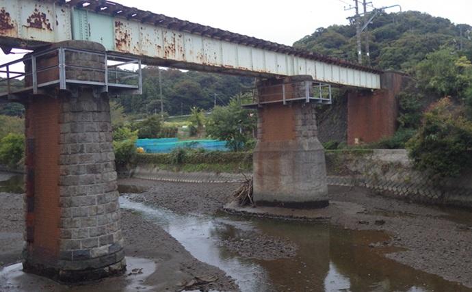 「猫のちょっかいに苦戦？」白狐川のハゼ釣りでマハゼ25匹手中【千葉】