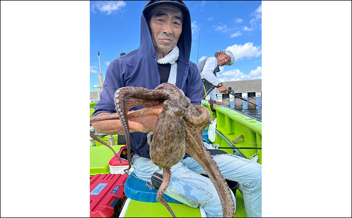 東京湾で船中マダコ100杯超え！【横内丸】金沢八景沖をエギタコ釣りで探る