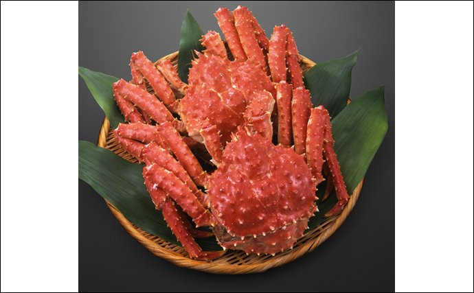 カニは生物の最終形態？　「カニになっていく甲殻類」と「カニから離れていく甲殻類」