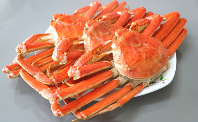 カニは生物の最終形態？　「カニになっていく甲殻類」と「カニから離れていく甲殻類」