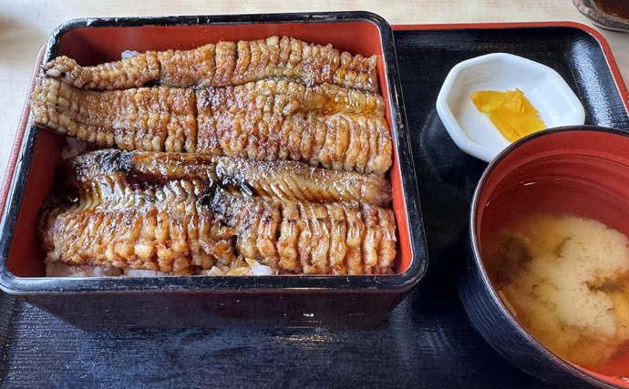 ウナギを超えるアブラギッシュな魚を発見　深海の新名物「黒ハモ」を食べてみた