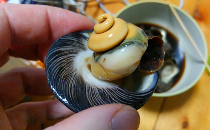 「メバルじゃないメバルに魚ですらないカサゴ」　呼ばれ方で勘違いされやすい生き物たち