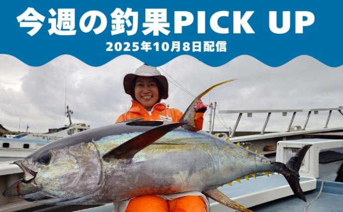 相模湾マグロ祭り開始？　今季初＜モンスター級60kg超のキハダ＞キャッチ【全国の釣果速報6選】