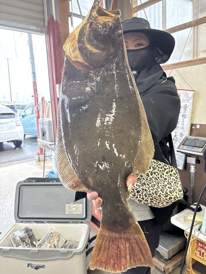 ＜福岡県宗像市＞サゴシ＆ヤズ接岸でショアジギング好機到来！【全国の釣果速報4選】