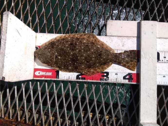 「釣りドコ」がリニューアル！距離計測機能＆風況情報を搭載【今週の釣りニュース5選】