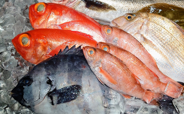 「魚の生臭さ」の基準は国によって様々　原因となる物質自体が異なる？