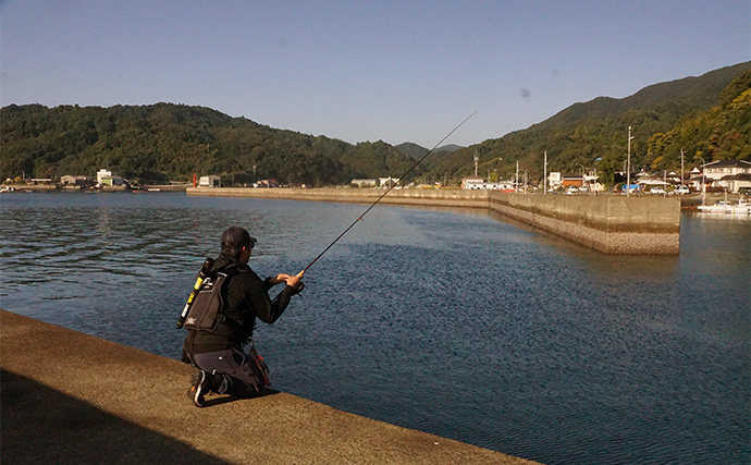 「まさにエギングパラダイス！」DUELのエギ4種を駆使して良型アオリイカ捕獲成功【天草】