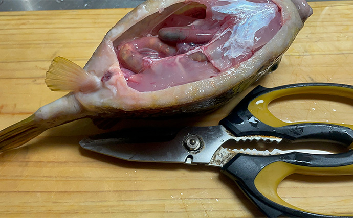 釣ったハコフグで作る「カットッポ」レシピ　毒がある皮の扱いに要注意