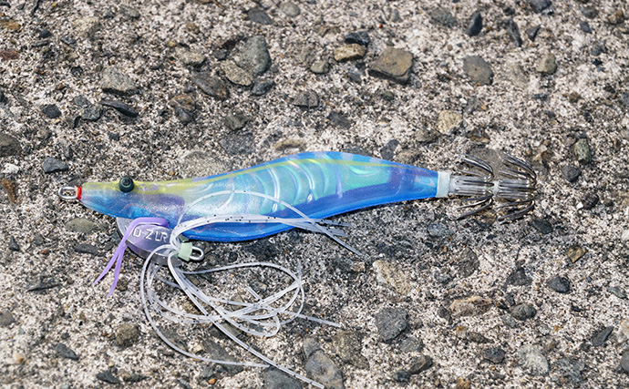 「まさにエギングパラダイス！」DUELのエギ4種を駆使して良型アオリイカ捕獲成功【天草】