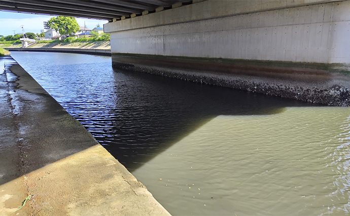 「条件が良すぎて苦戦？」村田川シーバス釣行で50cm級本命をキャッチ【千葉】