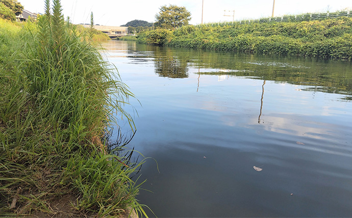 「魚がボイルしてるのにルアーにヒットしない！」 食わないボイルの攻略法2選