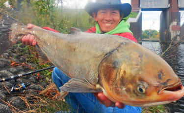 「メーター超え獲った！」荒川で101cmハクレンをキャッチ【埼玉】豆ボ…