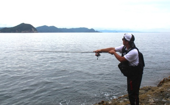 「エギングのロッド選びはややこしい？」シーズン×フィールドごとの課題に合わせてみよう