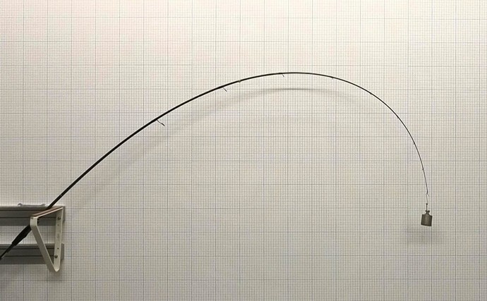 「エギングのロッド選びはややこしい？」シーズン×フィールドごとの課題に合わせてみよう