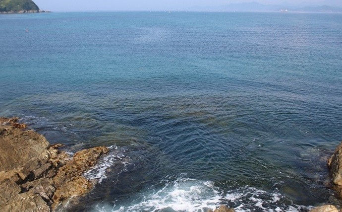 「エギングのロッド選びはややこしい？」シーズン×フィールドごとの課題に合わせてみよう