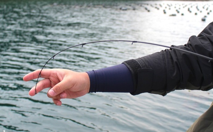 「エギングのロッド選びはややこしい？」シーズン×フィールドごとの課題に合わせてみよう