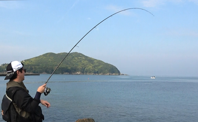 「エギングのロッド選びはややこしい？」シーズン×フィールドごとの課題に合わせてみよう