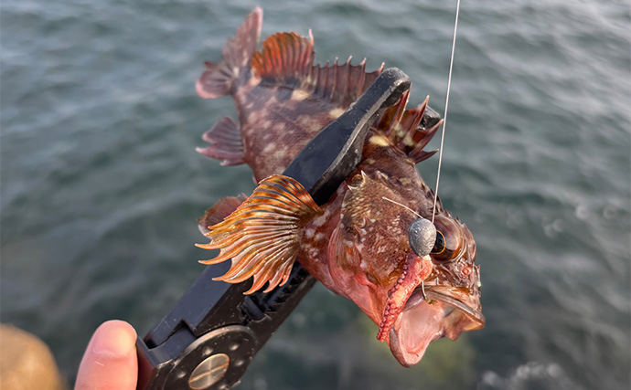 「あなたが好きなのはどの釣り？」 海の陸っぱり釣りにおける【3大スタイル】