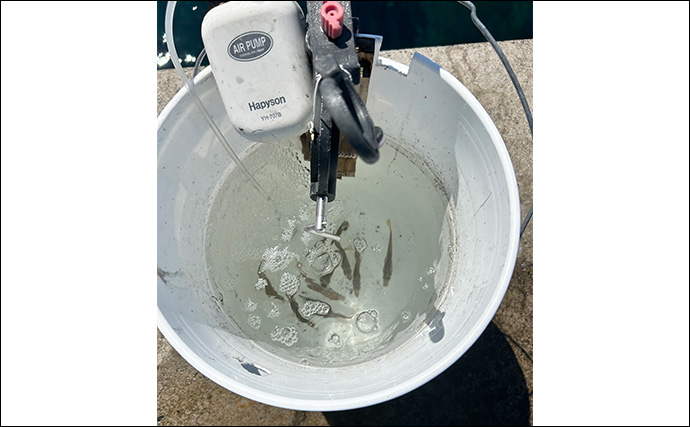 ヤエン釣り入門＆ステップアップしたいなら秋が断然オススメなワケ