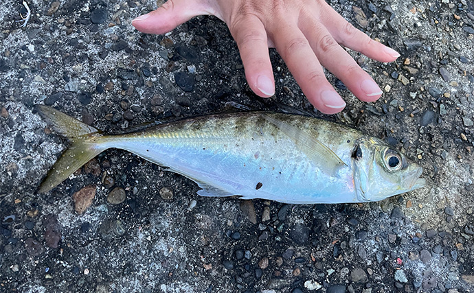 海釣り初心者の女性アングラーが「実際に買って大満足した」釣り竿とリールを紹介