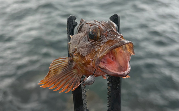 釣りの「めっちゃ痛い！」思い出　深夜に消波ブロックへ落下して奇跡の生還