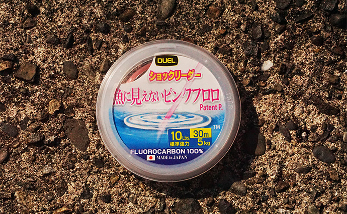 「まさにエギングパラダイス！」DUELのエギ4種を駆使して良型アオリイカ捕獲成功【天草】