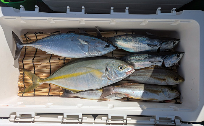 「船上が戦場さながらに？」初めてのシマアジ釣りで本命キャッチに成功【和歌山・黒龍丸】