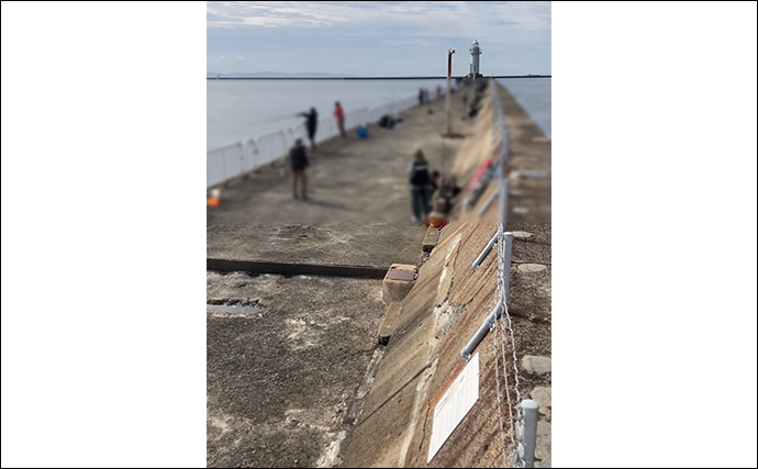 「サゴシ回遊は終盤戦か」大阪南港魚つり園でのショアジギ釣行でなんとかサゴシ1本