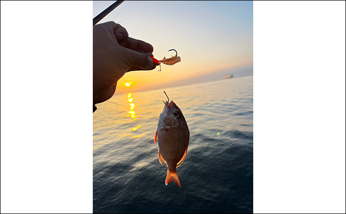 釣り大会の順位は振るわずも１等参加賞をゲット！ 関門テンヤマダイダービーに参加してみた