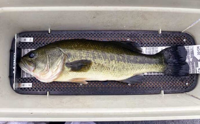 「魚探トラブルを克服！」ネコリグを使って47cm良型バスをキャッチ【三重・比奈知ダム】