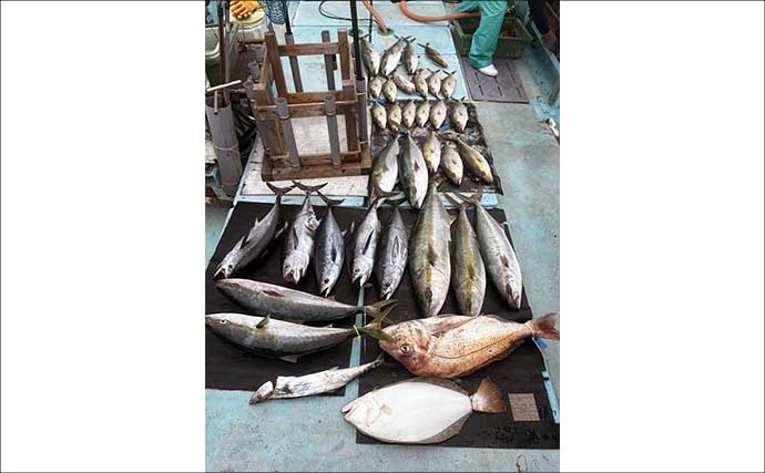 【沖釣り釣果速報】ヒラマサ7kg頭に船中60尾超！玄界灘の落とし込み釣りが最盛期（福岡）
