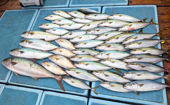 【沖釣り釣果速報】ヒラマサ7kg頭に船中60尾超！玄界灘の落とし込み釣りが最盛期（福岡）