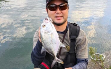 南伊勢のライトソルト五目ゲームで9種目制覇！【三重】港内で27cmメッ…