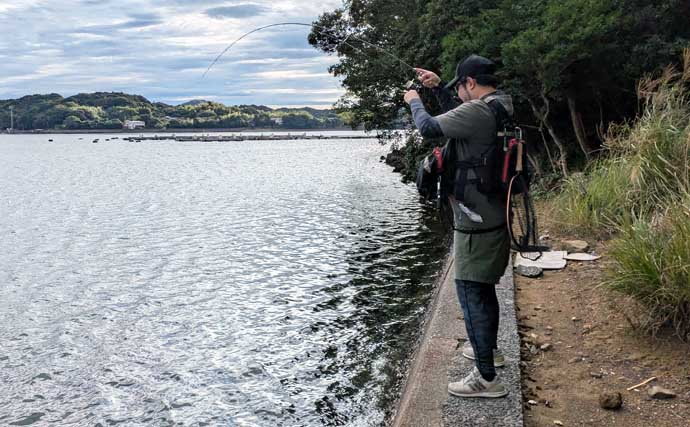 南伊勢のライトソルト五目ゲームで9種目制覇！【三重】港内で27cmメッキ＆37cmシオも登場