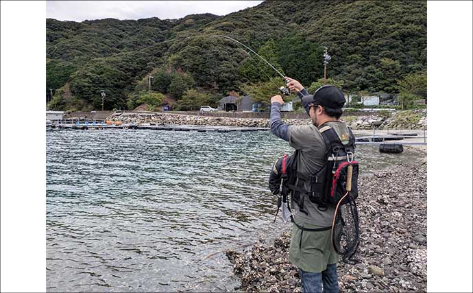 南伊勢のライトソルト五目ゲームで9種目制覇！【三重】港内で27cmメッキ＆37cmシオも登場