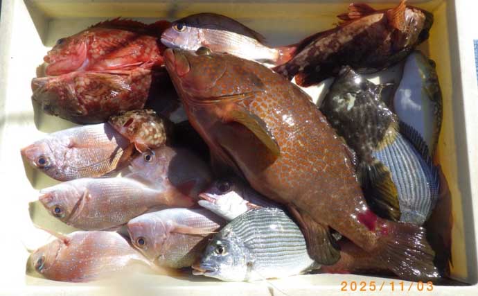 【沖釣り釣果速報】マダイがズラ〜ッと整列！テンヤマダイ釣りで爆釣モード突入（愛知）