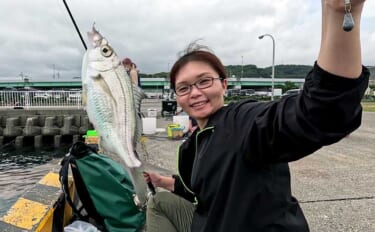 大磯港の五目釣りでクロサギやアイゴをキャッチ【神奈川】夫婦でのんびり港…